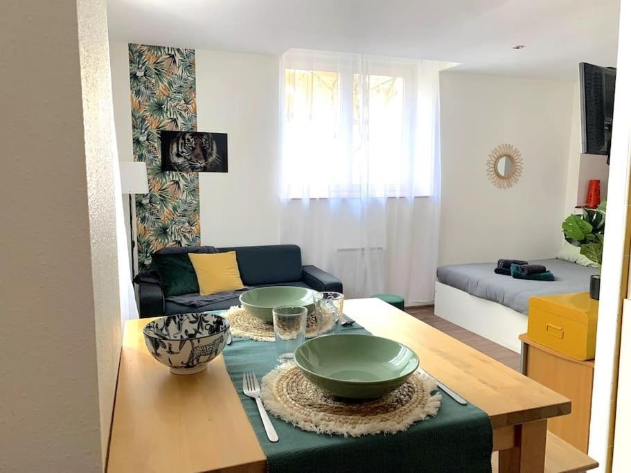 Apartamento F1 Equipe Proche Tram - Jungle *
