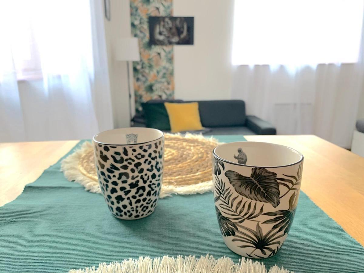 Apartment F1 Equipe Proche Tram - Jungle Mulhouse